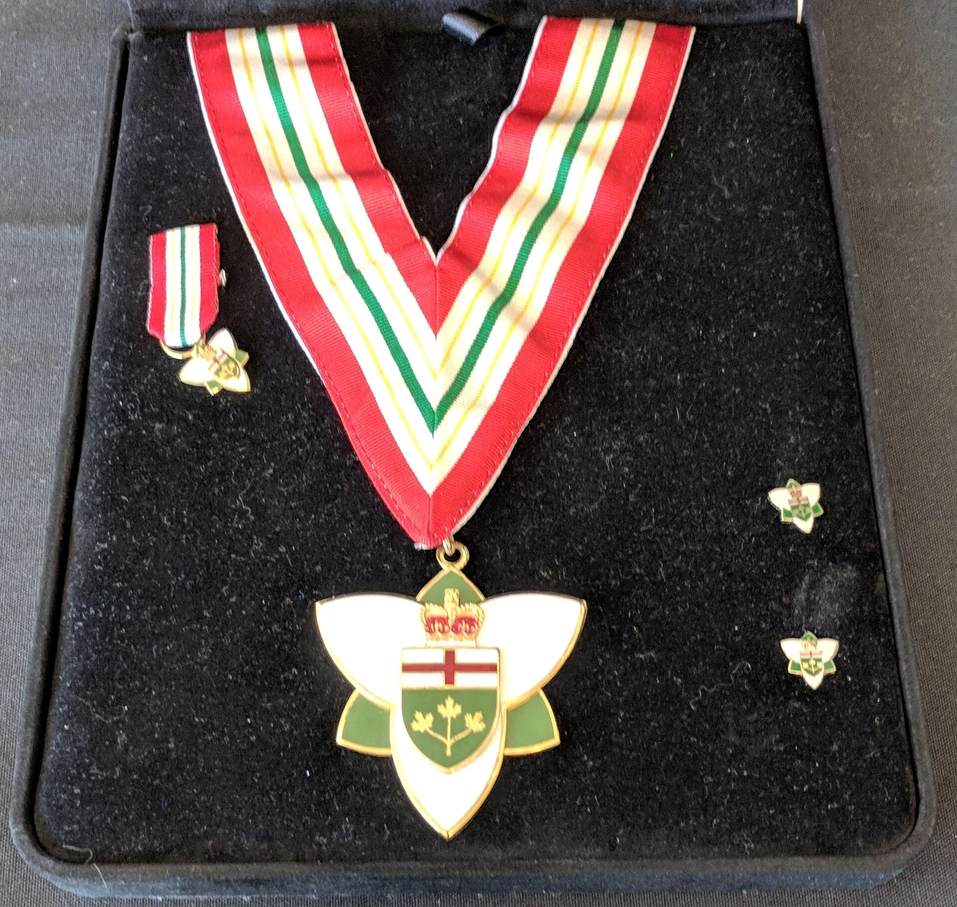 An Order of Ontario medal, miniature and lapel pins in a presentation case