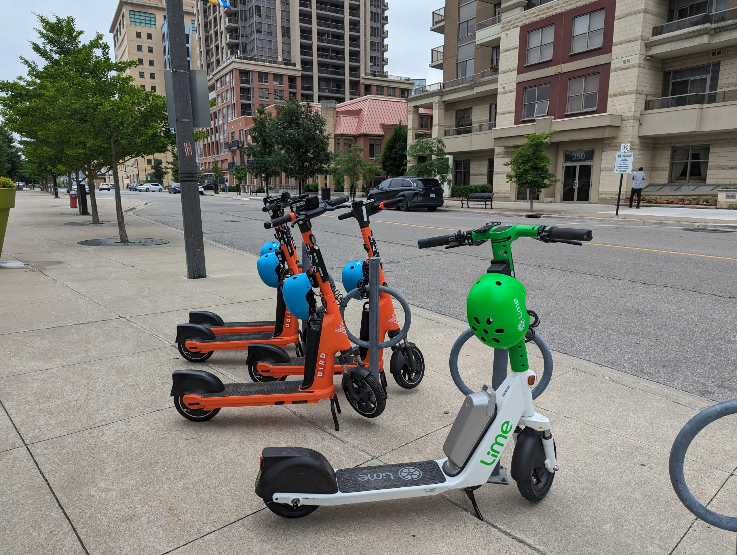 Shared rental e-scooters parked on a sidewalk in downtown Mississauga