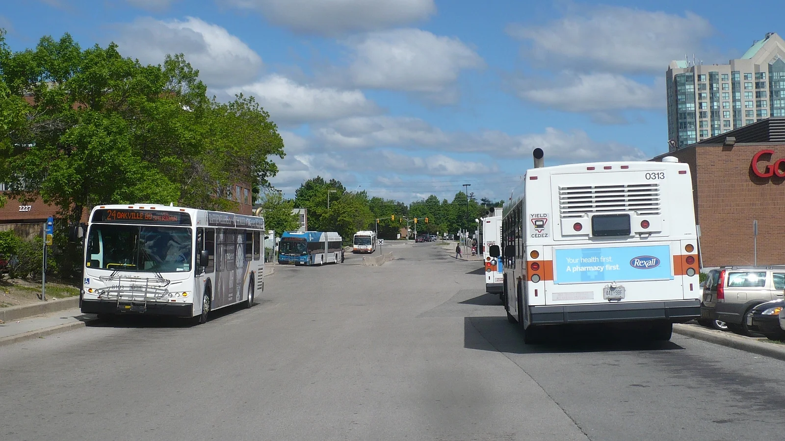 MiWay buses at the South Common Centre bus terminal in Mississauga