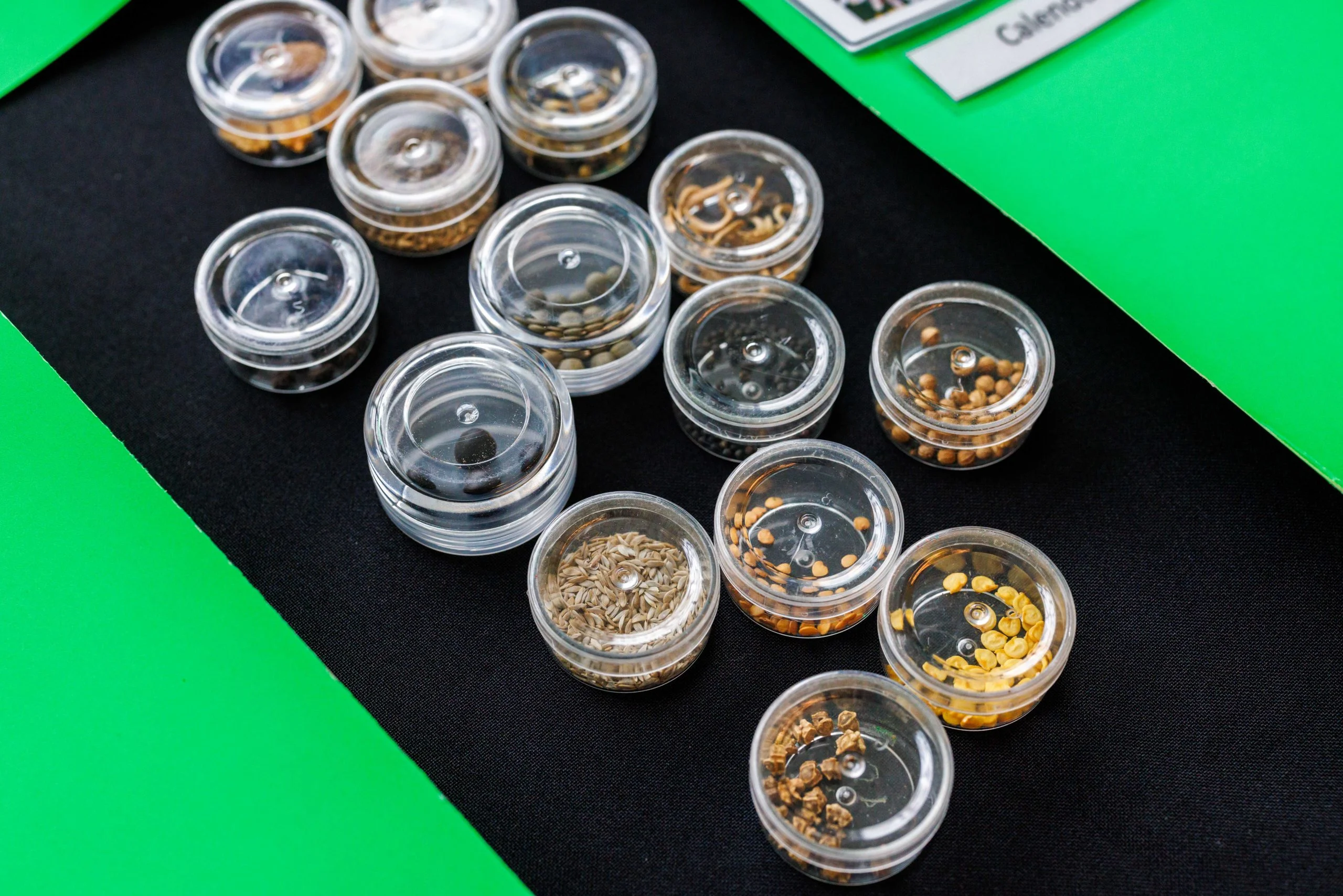 Small clear containers filled with different kinds of seeds, set out on a black cloth at a seed library display