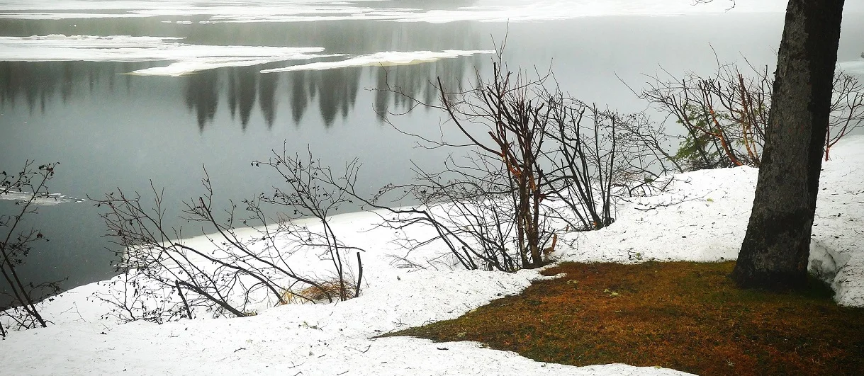 Snow and bare shrubs along the edge of a partly frozen river with sheets of ice on the water