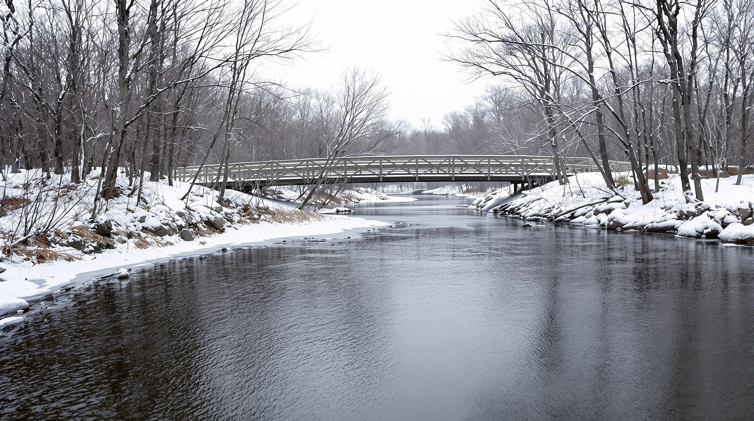 Snow-covered riverbank with bare winter trees along a partly frozen river in Ontario.