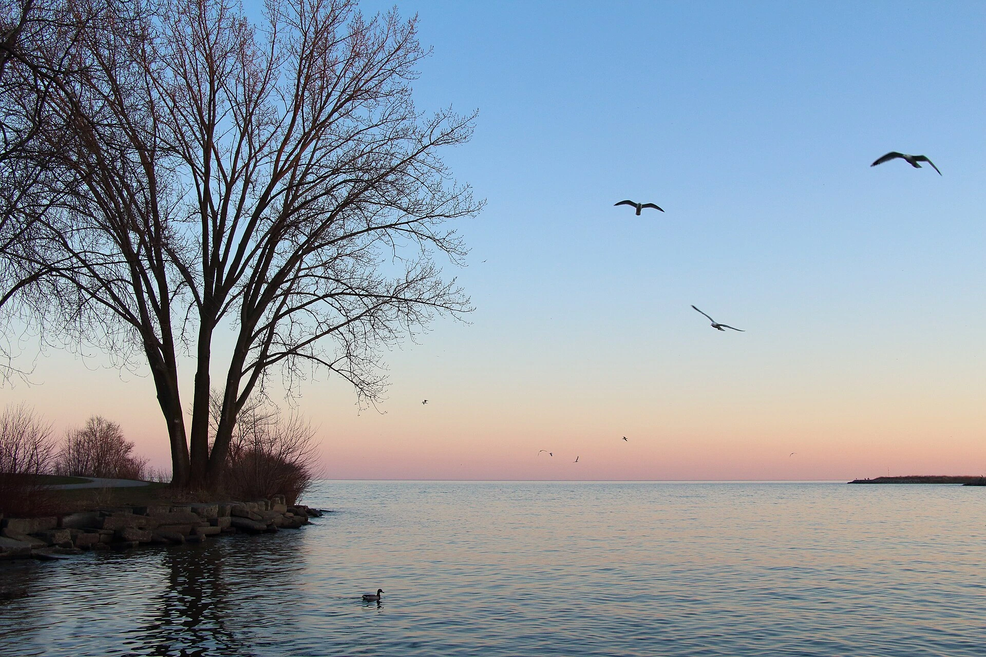 Illustration of a small aluminum boat on choppy Lake Ontario water viewed from an autumn shoreline.