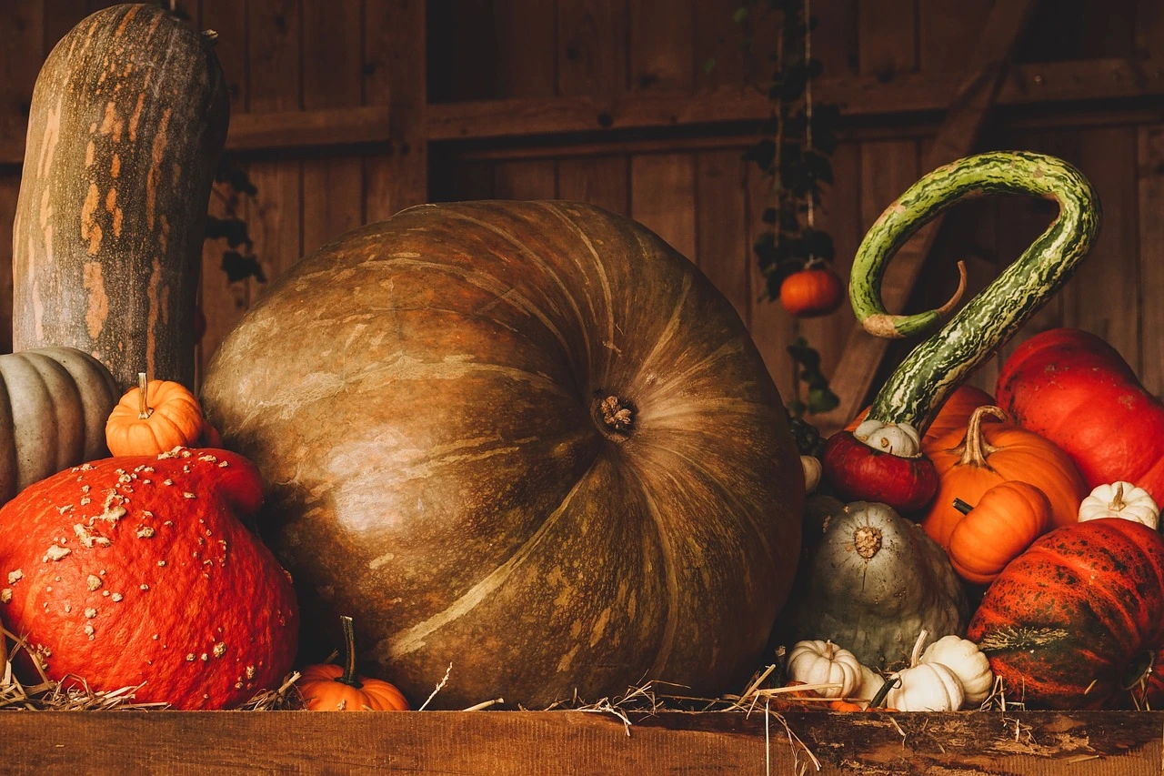 Pumpkins and fallen autumn leaves outside a school building entrance on an overcast fall day.