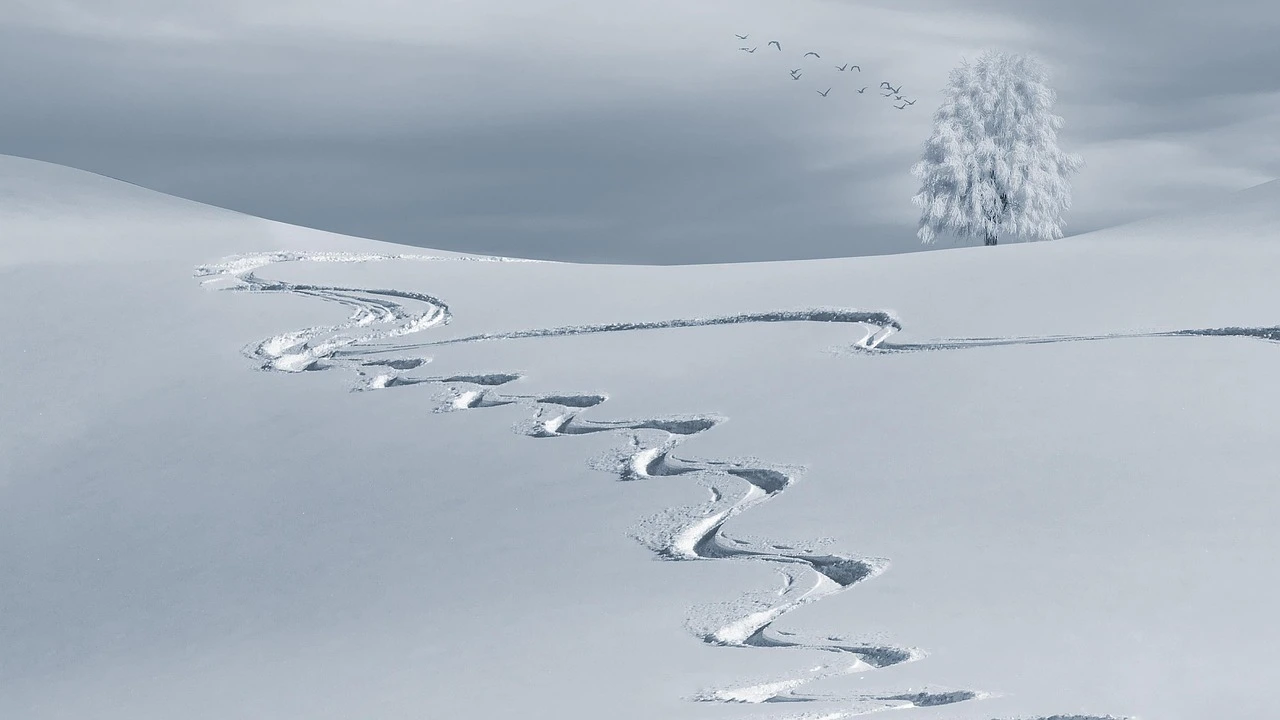 A snow-covered hillside at a ski resort in North York under a winter sky.
