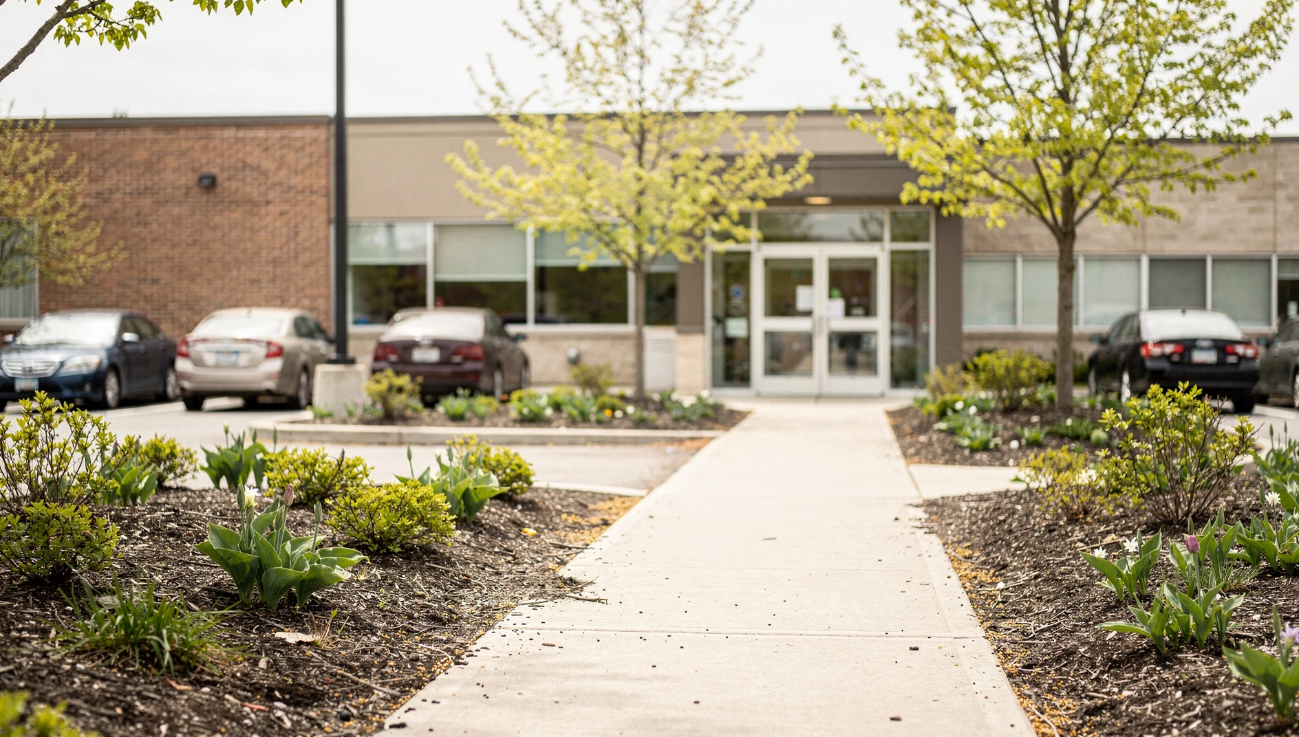 Illustration of a municipal office entrance in Durham Region with spring foliage.