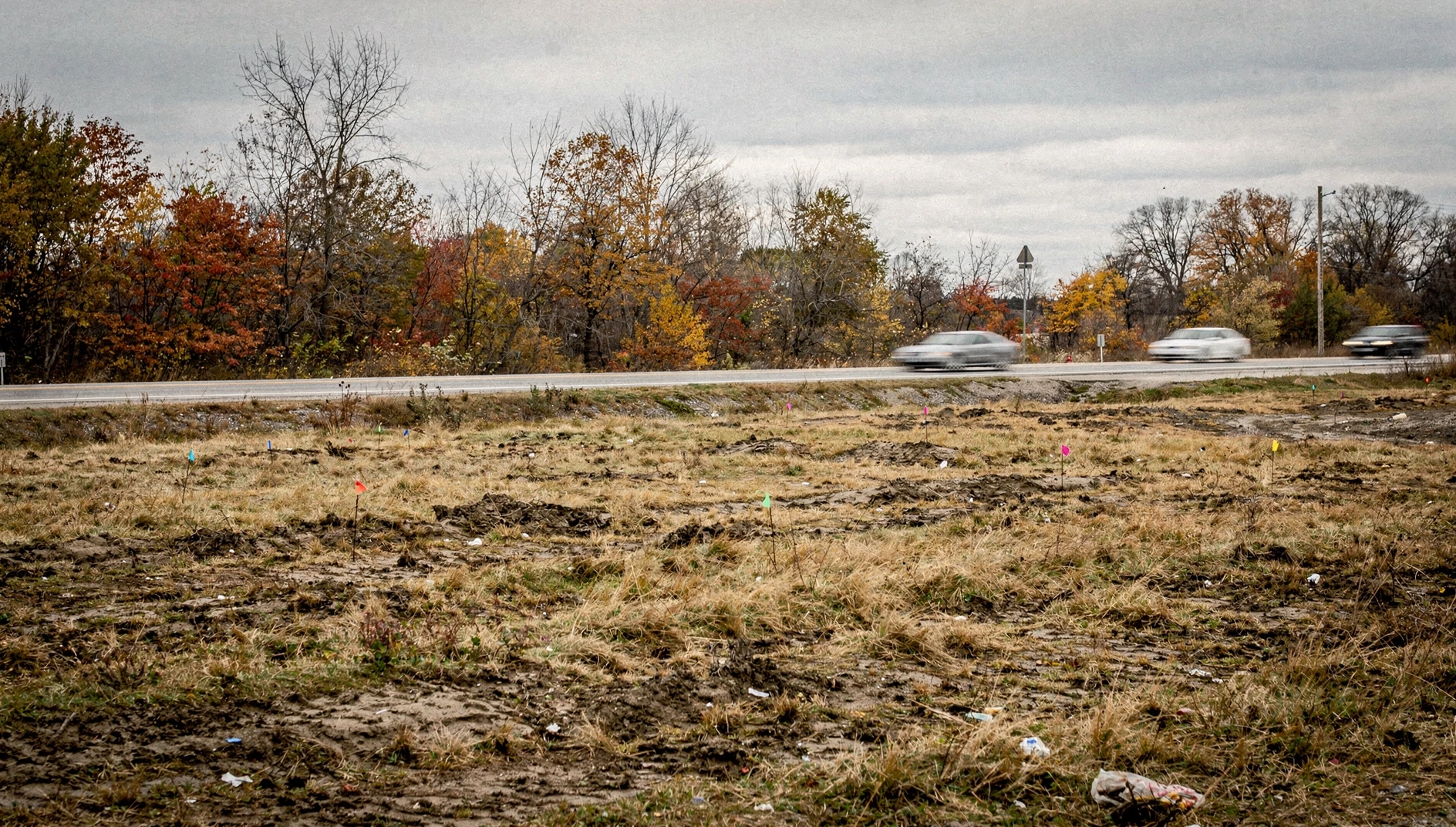 Open field with autumn foliage and a rural concession road, illustrating land under development review in Pickering.