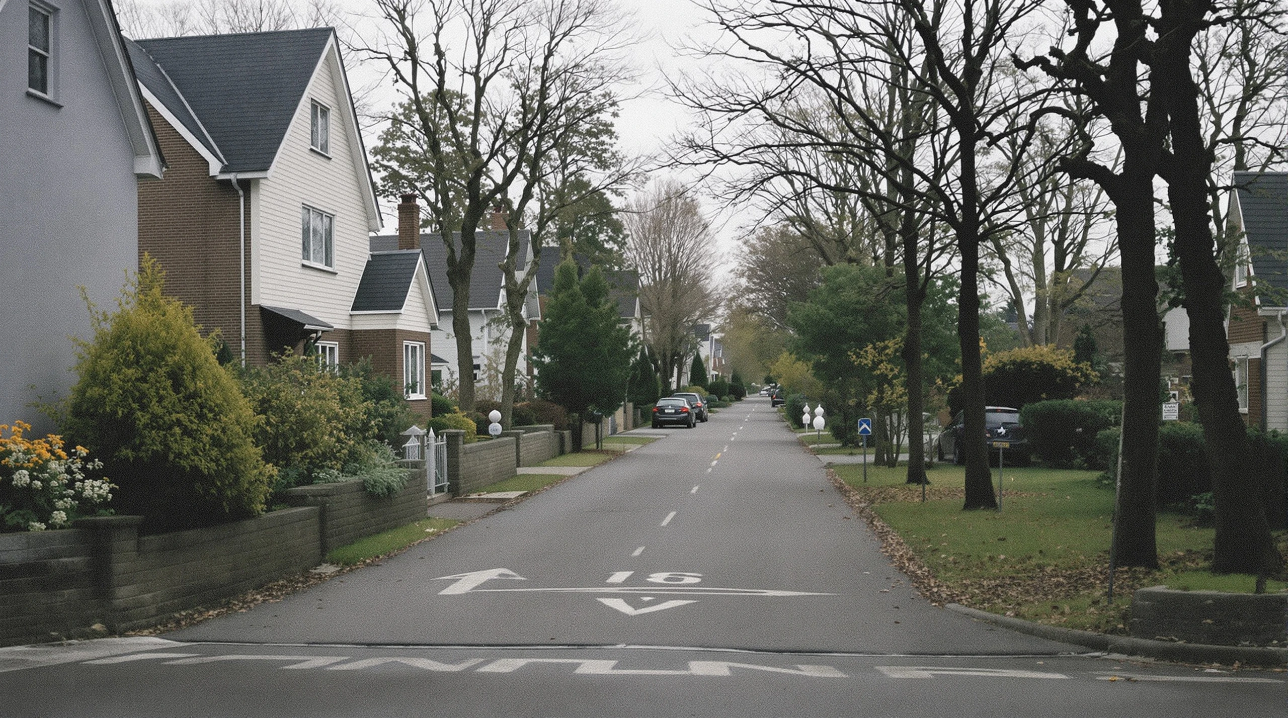 A quiet residential street in Niagara Falls with suburban houses and parked cars under an autumn sky.