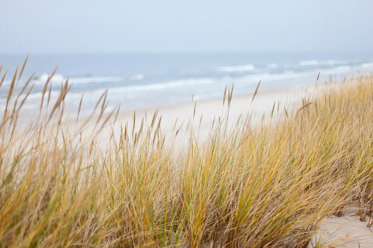 A view of the Wasaga Beach shoreline with sand and waves under an autumn sky.