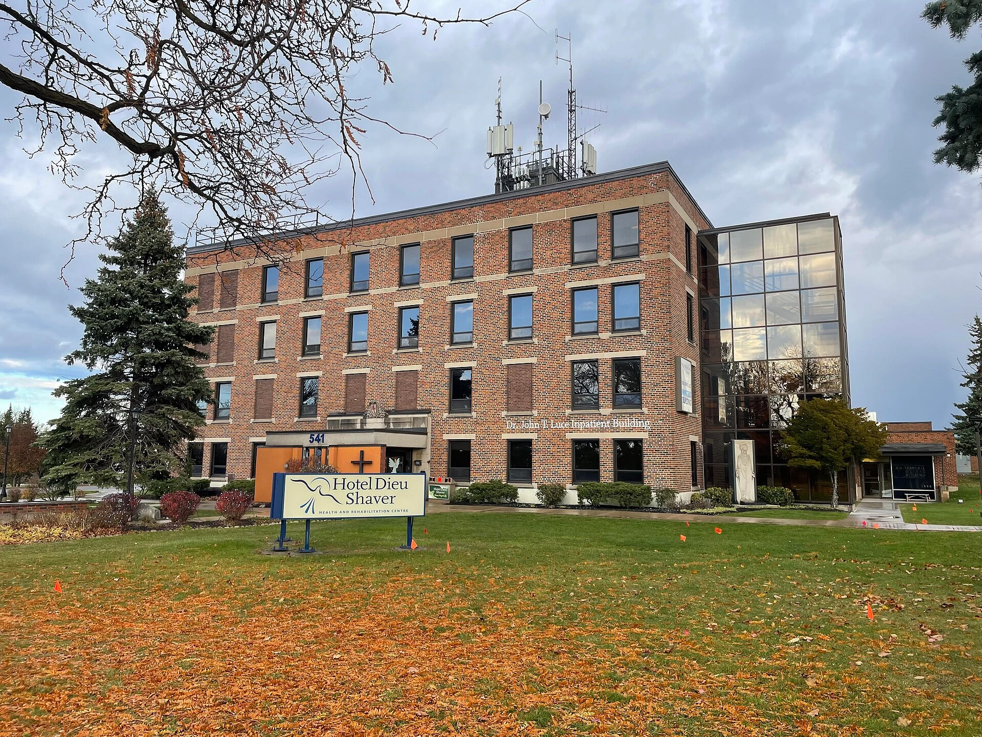 Illustration of a grassy lot with autumn trees on a suburban Niagara Falls road, with hospital construction in the distance.