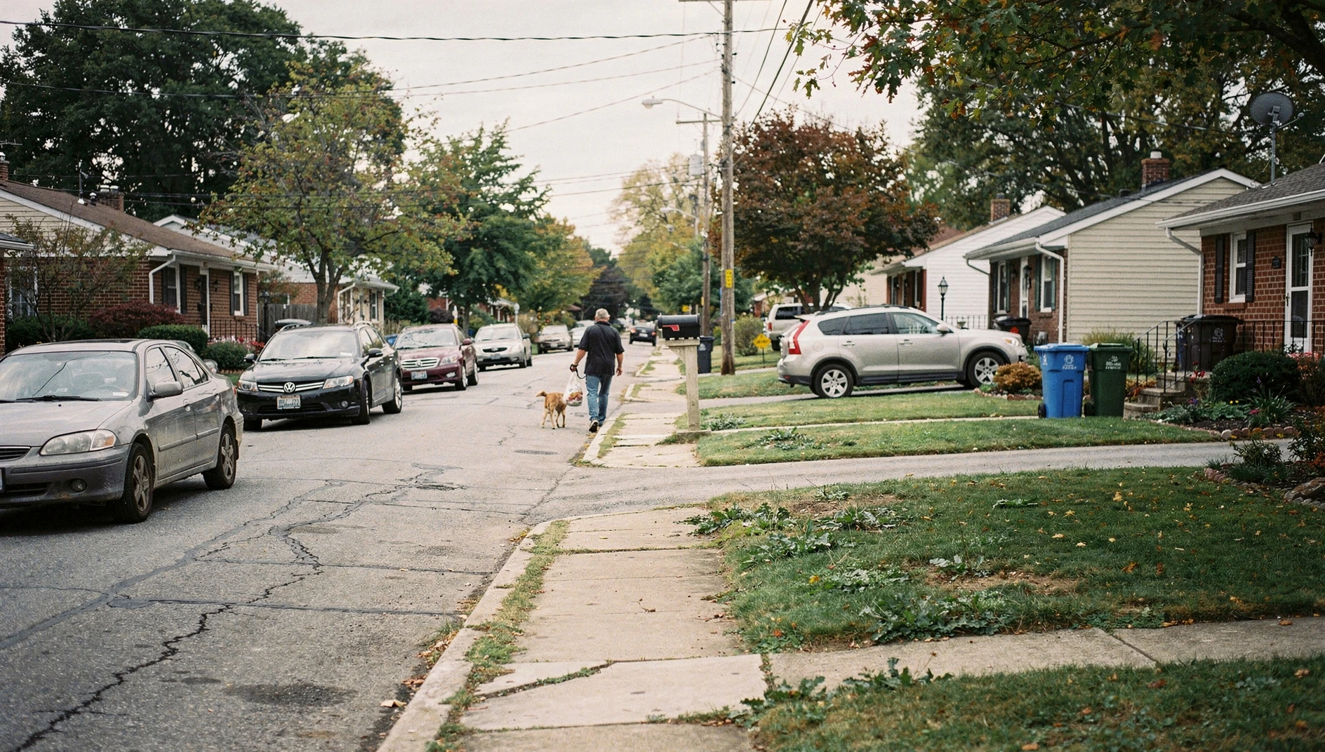 A quiet suburban residential street in Ottawa during the autumn, featuring houses and parked cars under a cloudy sky.