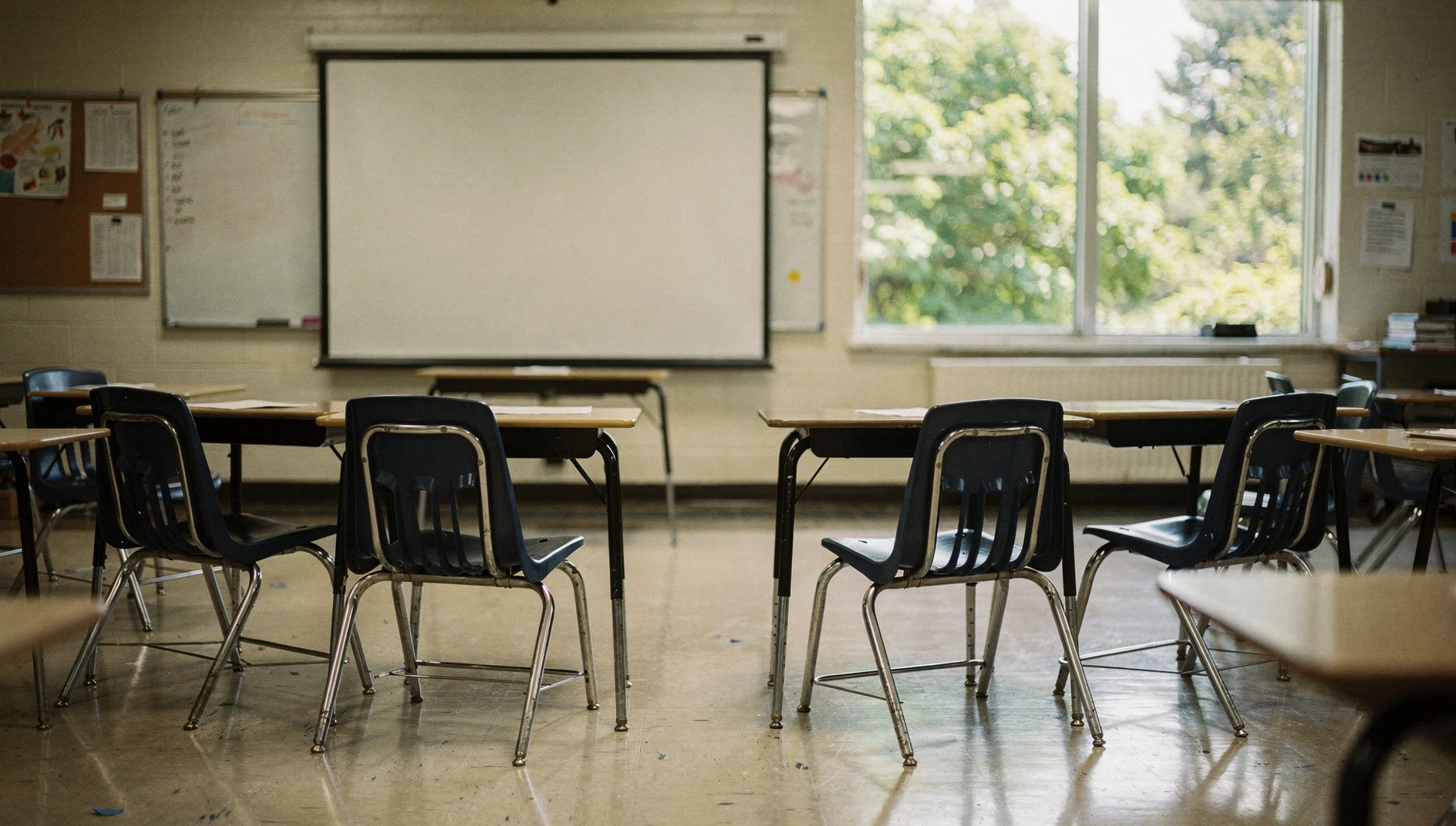 An empty classroom with chairs arranged for a discussion and summer foliage visible through the windows.