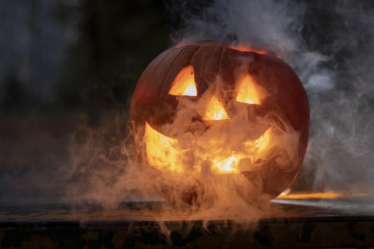 Dozens of carved jack-o'-lanterns glowing along a park path at dusk, surrounded by bare trees and fallen leaves.