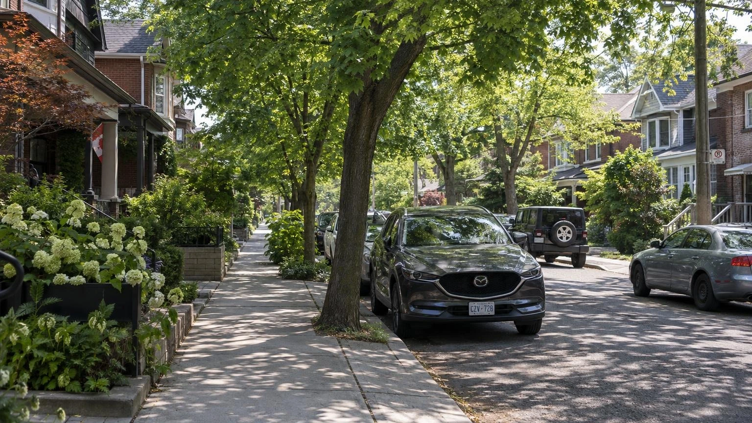 A quiet residential street in a Toronto neighbourhood with green trees and houses under a summer sun.