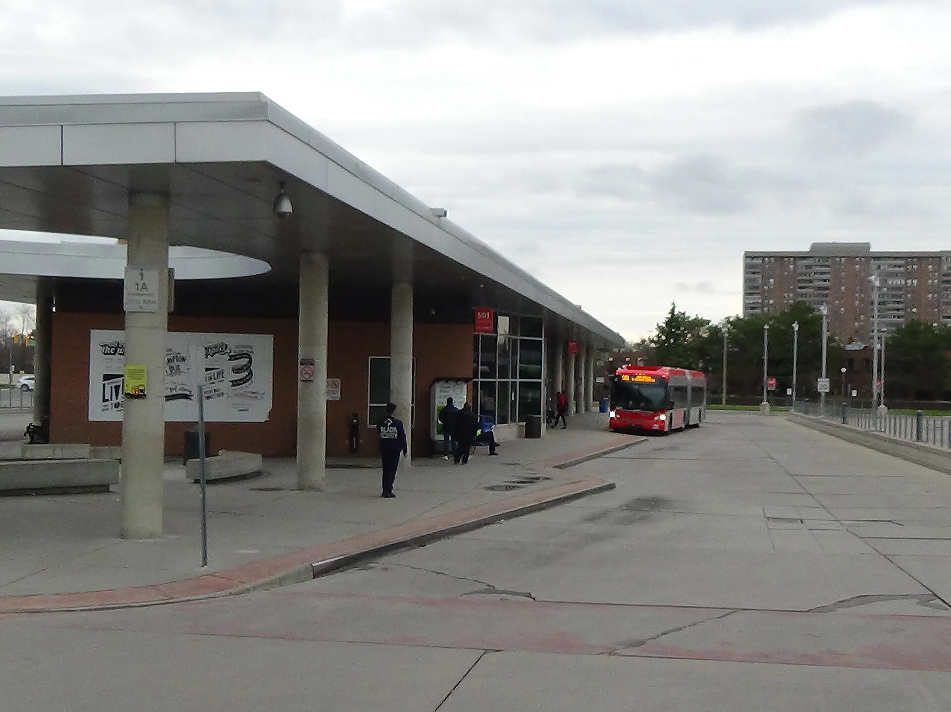 A Brampton Transit bus stopped at a suburban road near a residential area under autumn trees.