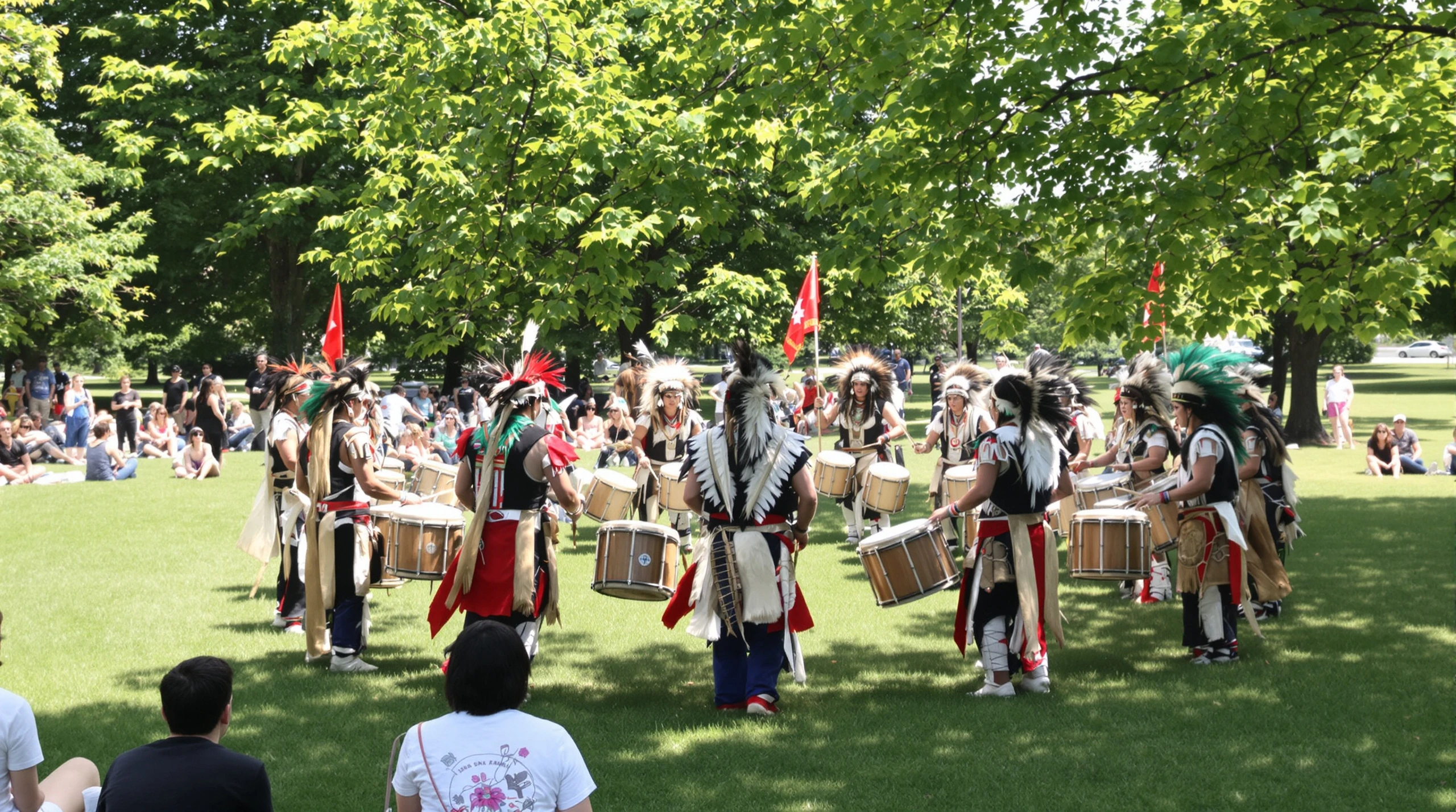 People gathered outdoors at a summer park event, drummers in regalia viewed from behind