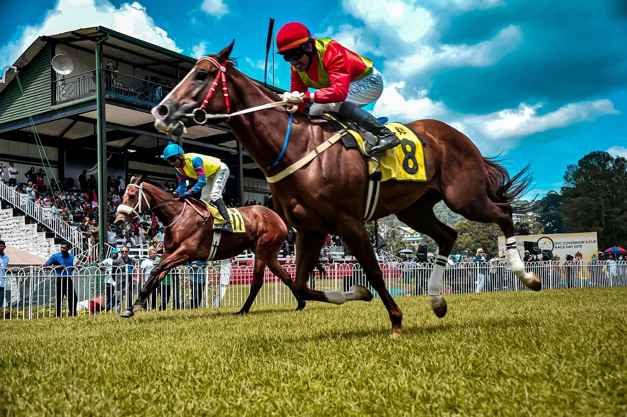 A quarter horse racing track with a dirt straightaway, white rail and green infield under a spring sky.