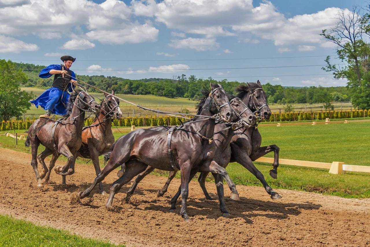 A Quarter Horse racehorse and rider galloping down a dirt racetrack on a summer day
