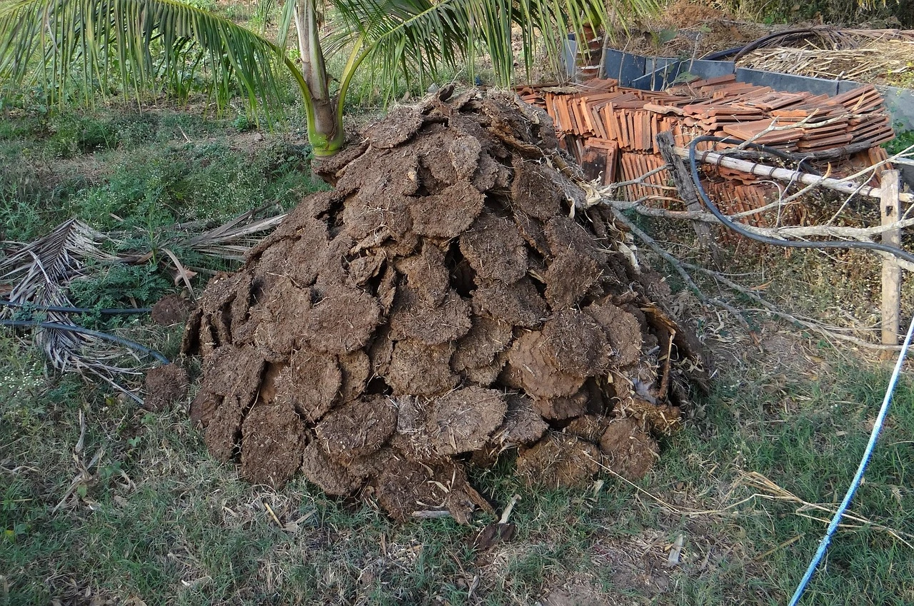 A pile of dark organic compost sits in a large mound outdoors under an autumn sky.