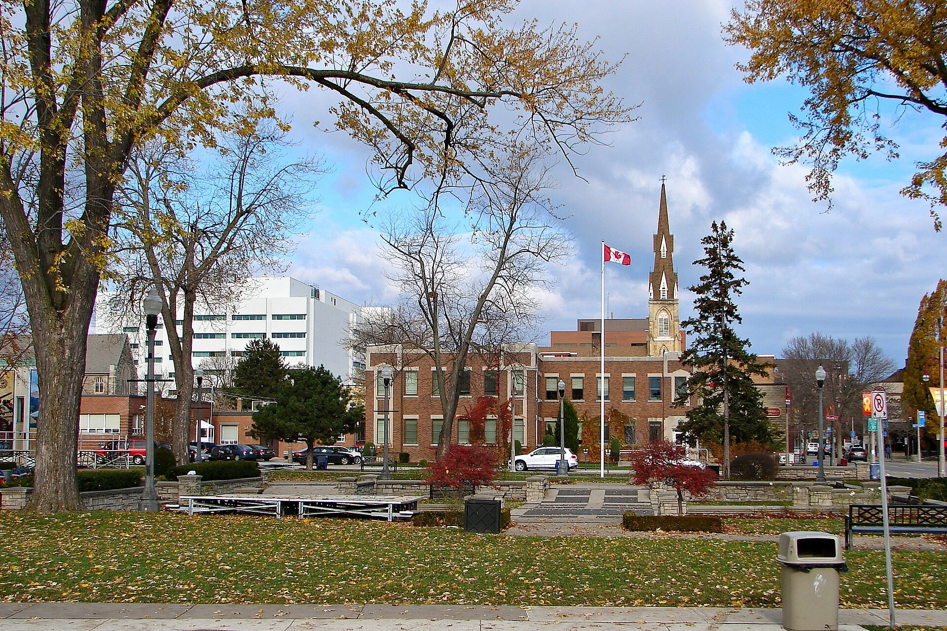 A transit bus travelling along a downtown street in autumn.