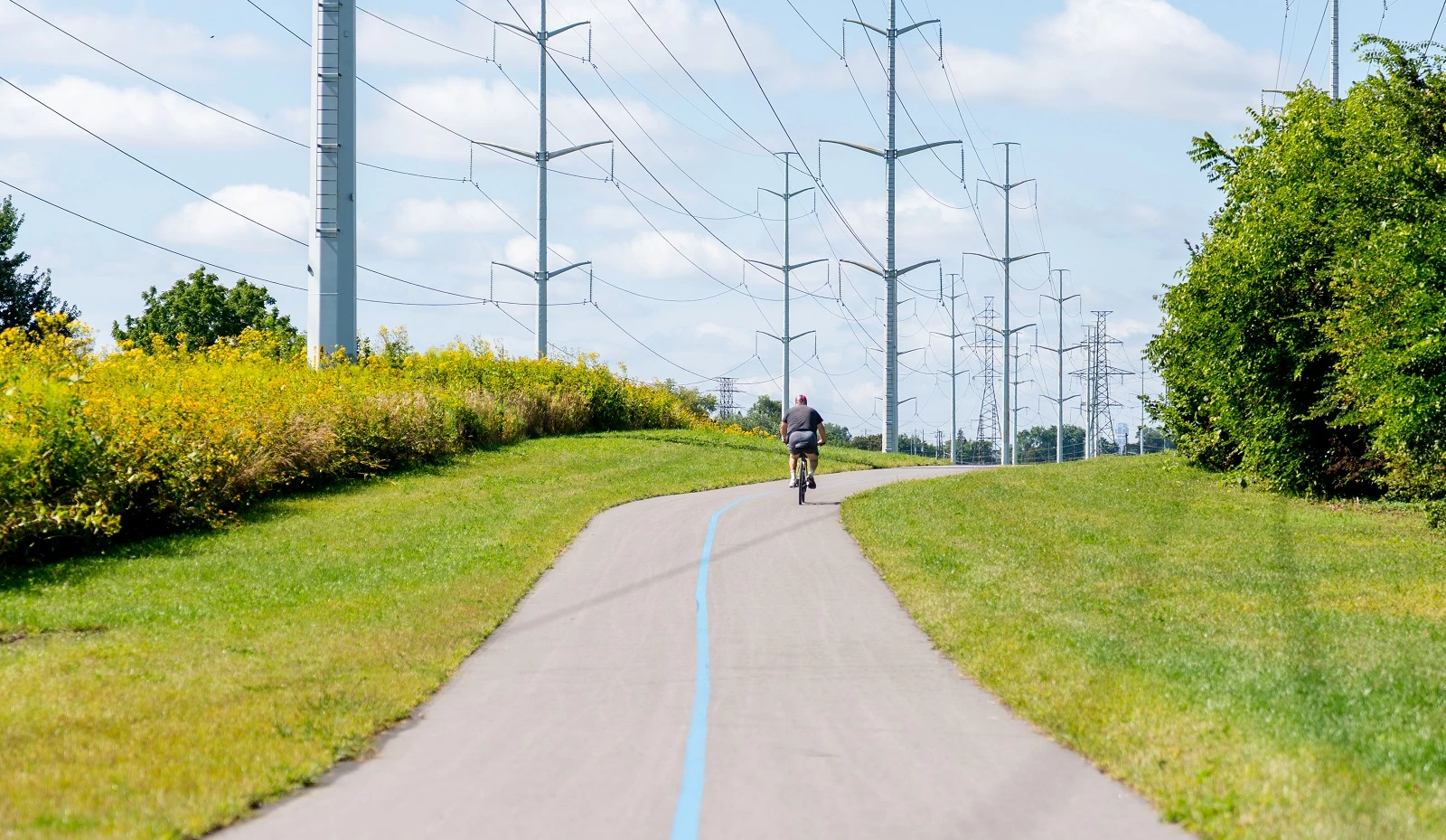 A multi-use trail running through a flowering meadow in a hydro corridor, with distant apartment buildings on the horizon.