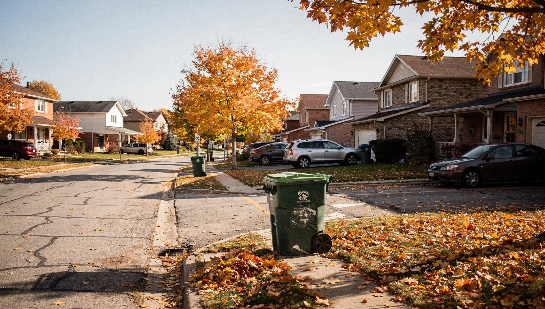 A suburban street in Whitby during autumn with a residential waste bin sitting on the curb near the road.