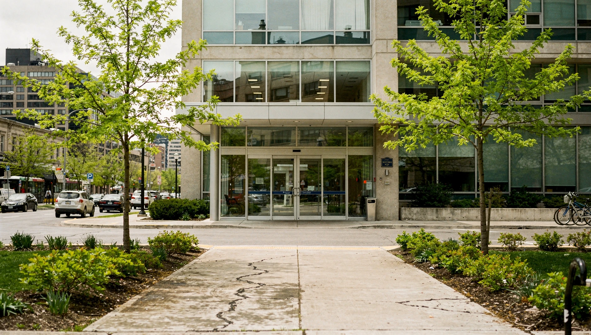 Illustration of a hospital entrance in Toronto with glass doors and spring foliage.