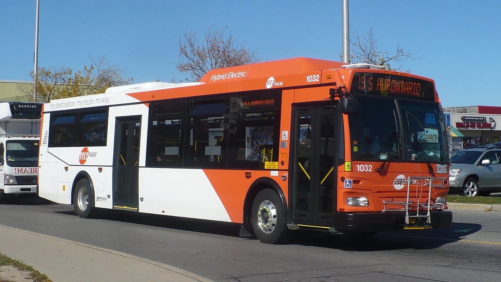 A city transit bus driving on a road lined with autumn trees in Mississauga.