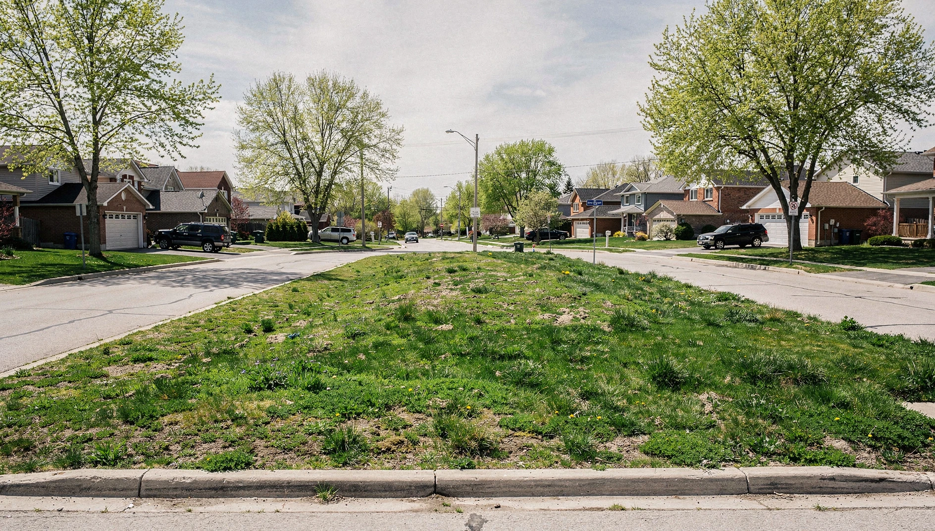 A wide shot of a suburban street in Ajax, Ontario, featuring residential houses and green trees under a bright spring sky.