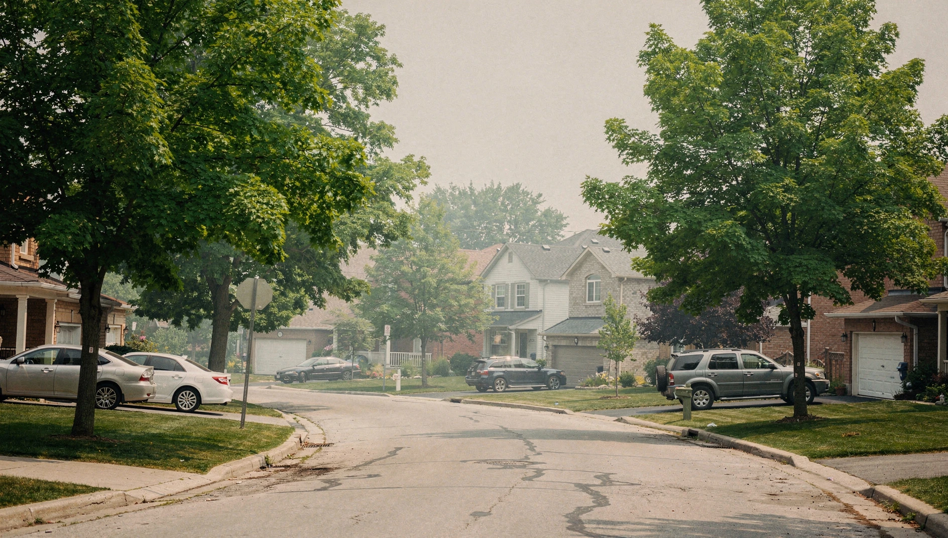 Illustration of a Markham residential street with summer foliage beneath a smoke-hazed sky.